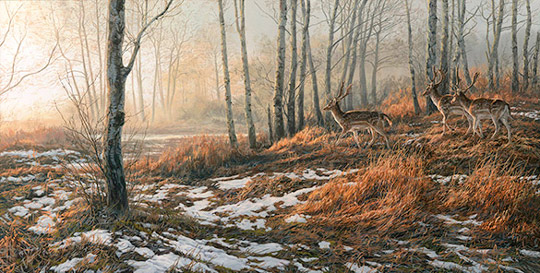 Fallow deer - Fallow bucks oil painting
